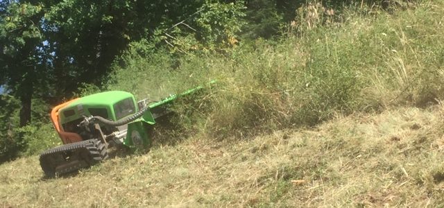 Entretien des Alpages avec Tondeuse débroussailleuse sur chenilles sur le secteur de Bonneville en Haute-Savoie