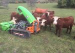 Entretien parc à vaches avec Robot Broyeur sur chenilles en Haute-Savoie - Entretien des parcs à vaches avec Robot Broyeur sur chenilles