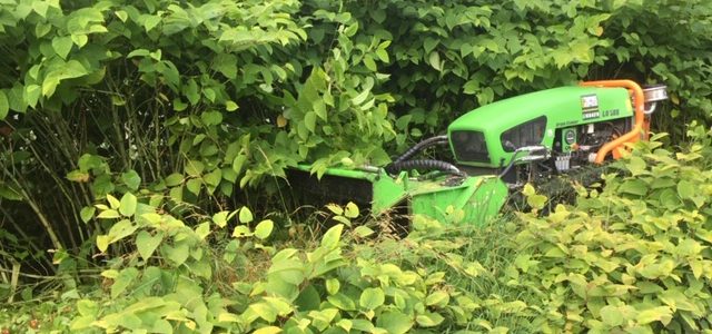 Entretien des espaces verts le long de l'Arve entre Cluses et Sallanches