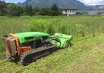 Débroussaillage d'un terrain à Marnaz - Débroussaillage d'un terrain avant l'implantation et terrassement d'une construction à Marnaz en Haute-Savoie.